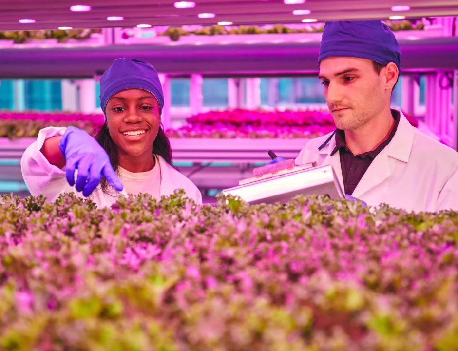 Estudiantes de agricultura trabajando en equipo